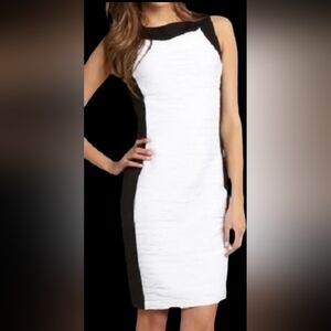 Calvin Klein Sleeveless Color Block Sheath Dress Black White Textured Size 4